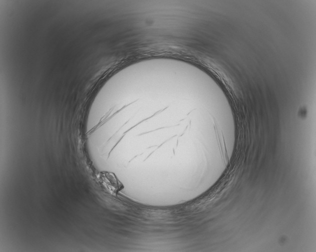 X0000116420501201001191453