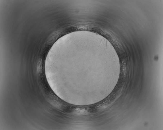 X0000116420502201001191453