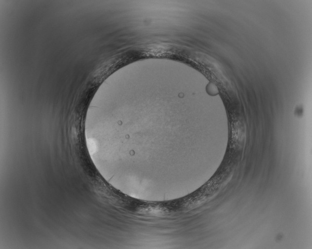 X0000116420503201001191453