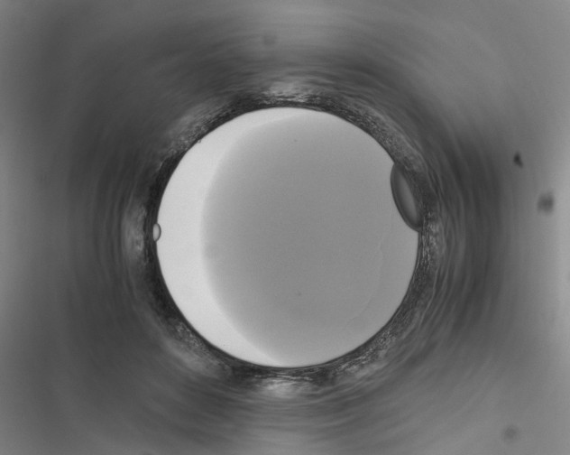 X0000116420504201001191453