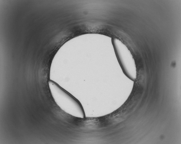 X0000116420505201001191453