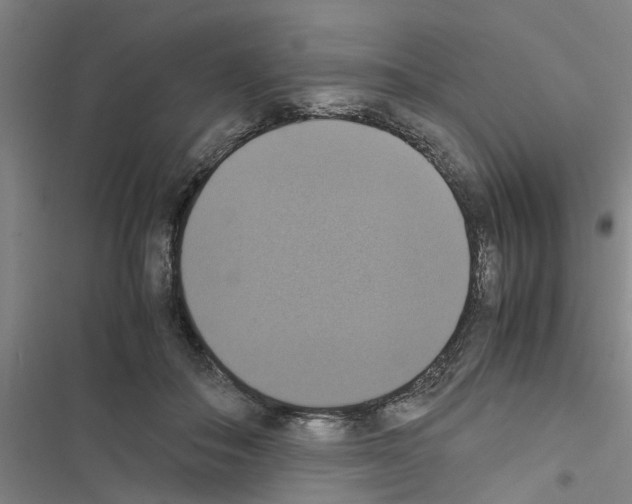 X0000116420506201001191453