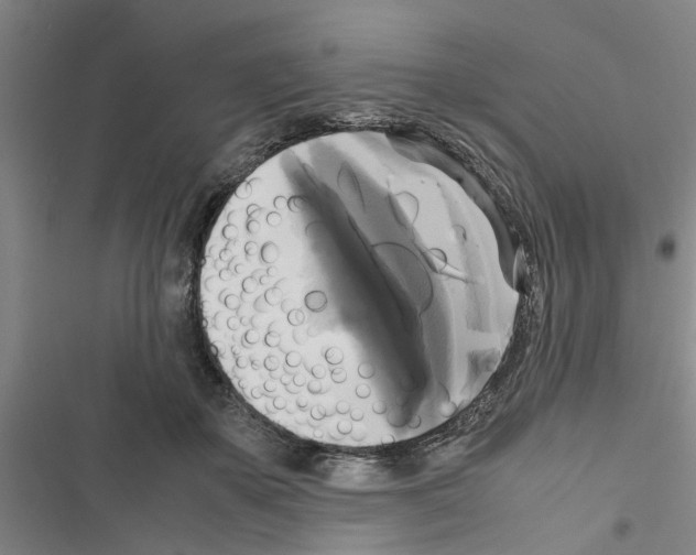 X0000116420507201001191453