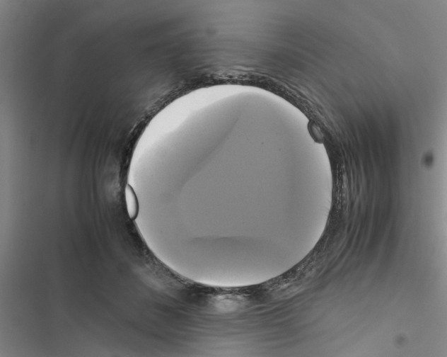 X0000116420508201001191453