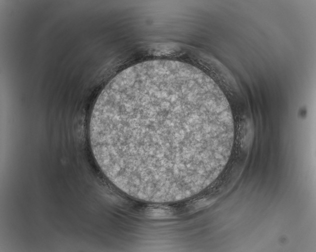 X0000116420510201001191453
