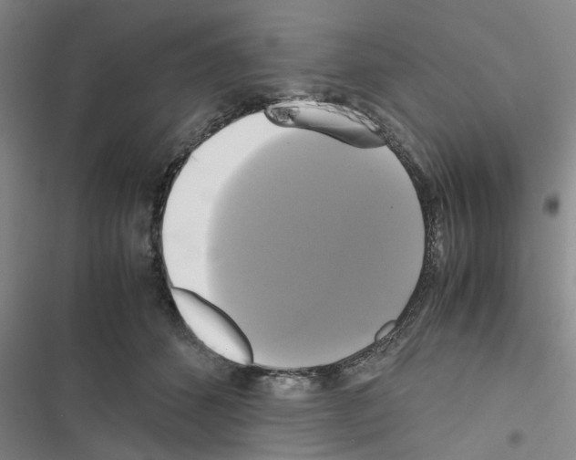 X0000116420512201001191453