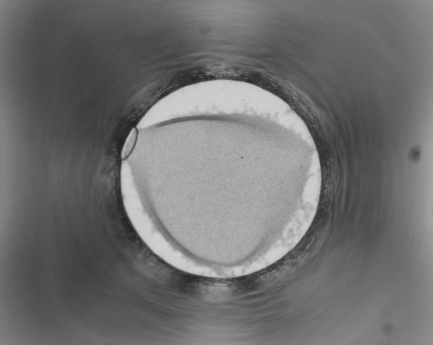 X0000116420513201001191453