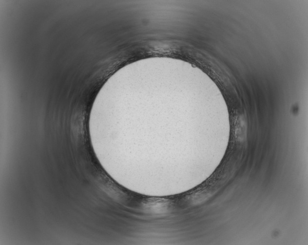X0000116420514201001191453