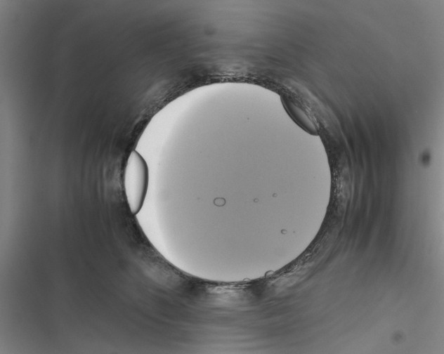 X0000116420516201001191453