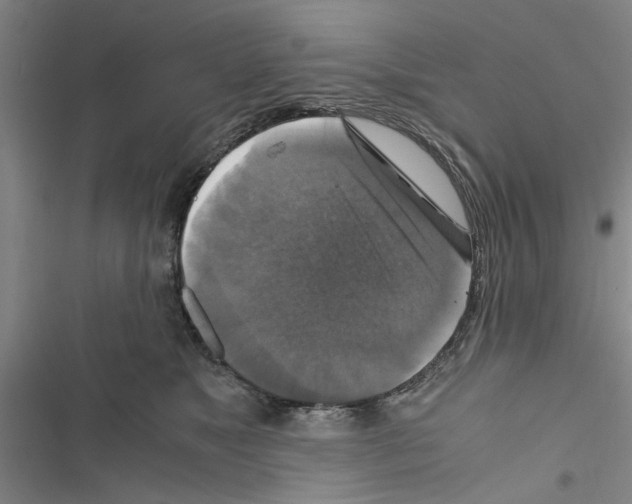 X0000116420517201001191452