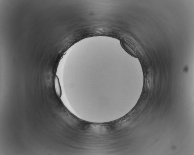 X0000116420520201001191452