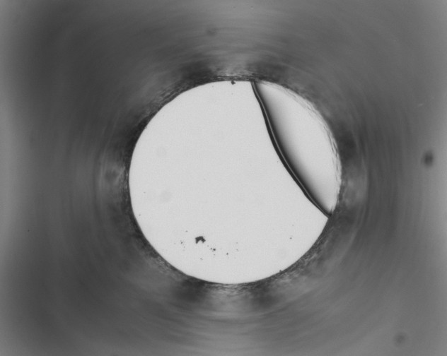 X0000116420521201001191452