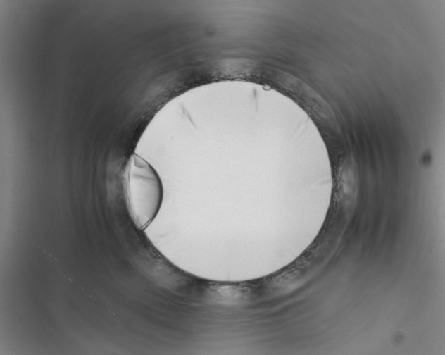 X0000116420522201001191452