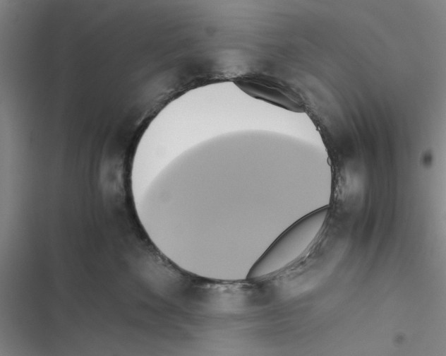 X0000116420524201001191452