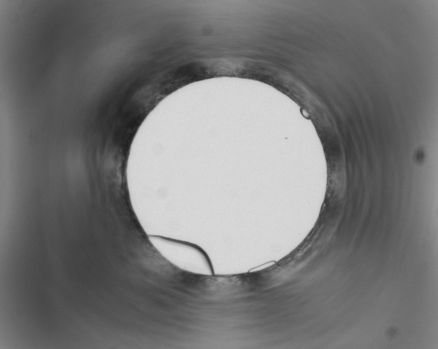 X0000116420525201001191452