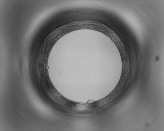 X0000116420526201001191452