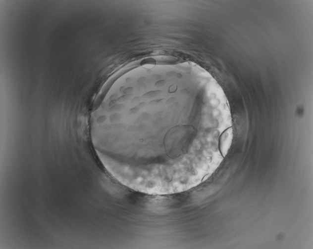 X0000116420527201001191452