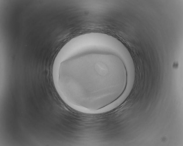 X0000116420528201001191452
