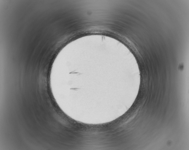 X0000116420530201001191452