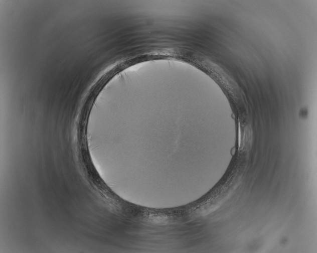 X0000116420531201001191452