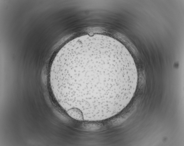 X0000116420533201001191452