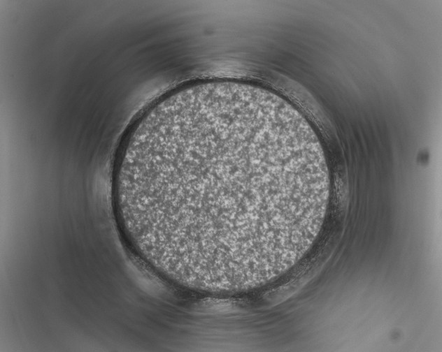 X0000116420534201001191452