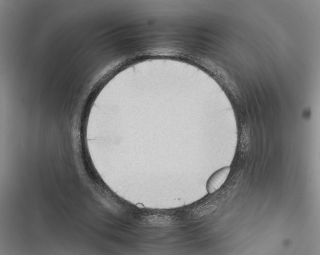 X0000116420535201001191452