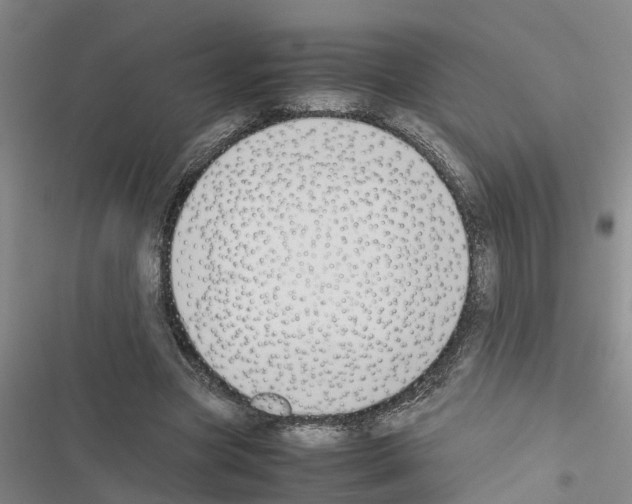 X0000116420537201001191452