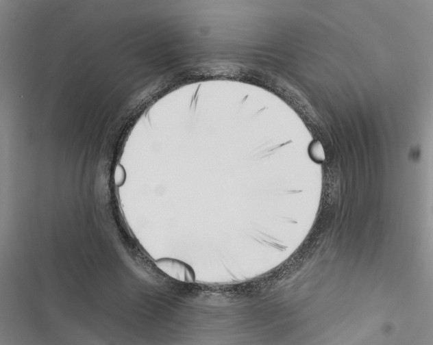 X0000116420538201001191452