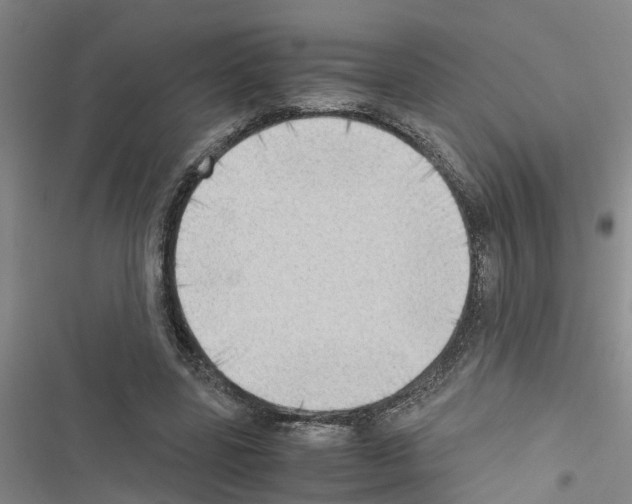 X0000116420539201001191452