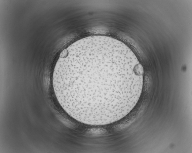 X0000116420541201001191452