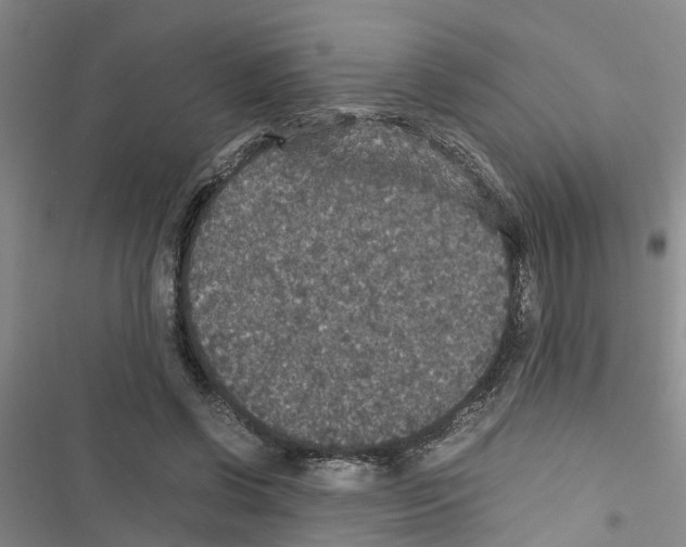 X0000116420542201001191452