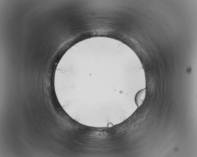 X0000116420543201001191452