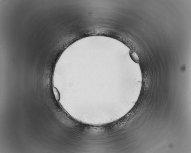 X0000116420546201001191452