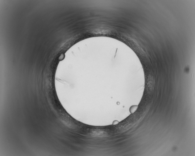 X0000116420547201001191452
