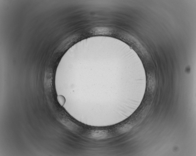 X0000116420549201001191452