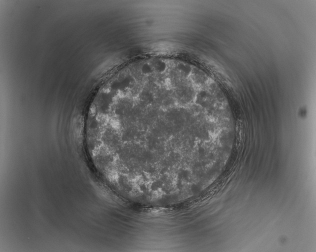 X0000116420550201001191452