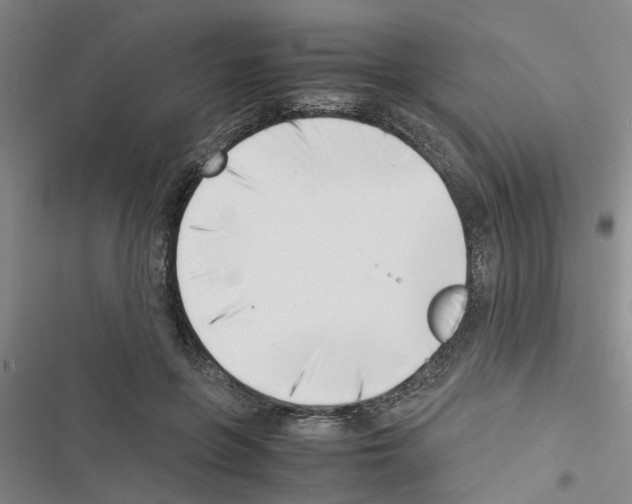 X0000116420551201001191452