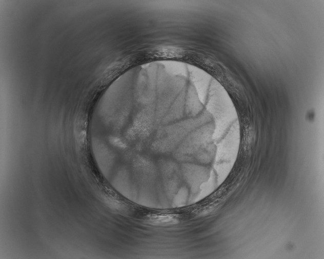 X0000116420553201001191452