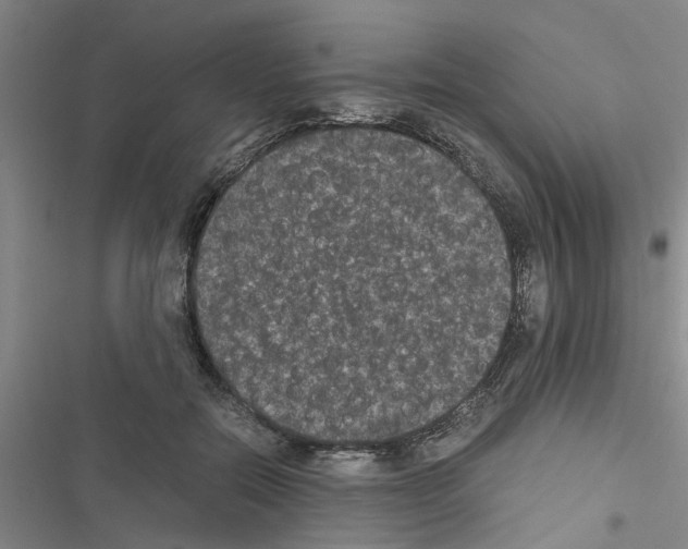 X0000116420554201001191452