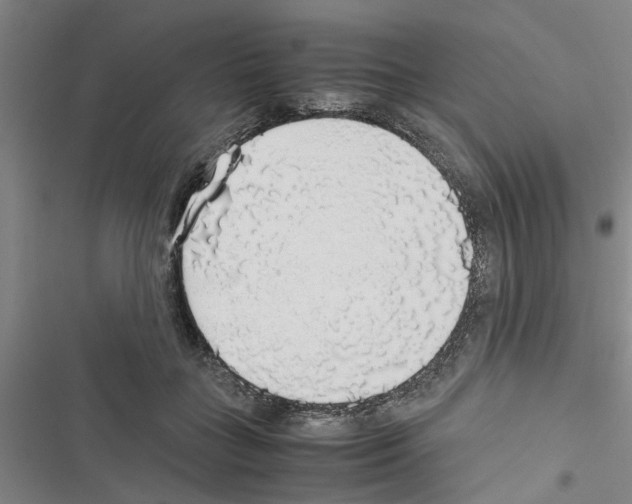X0000116420555201001191452