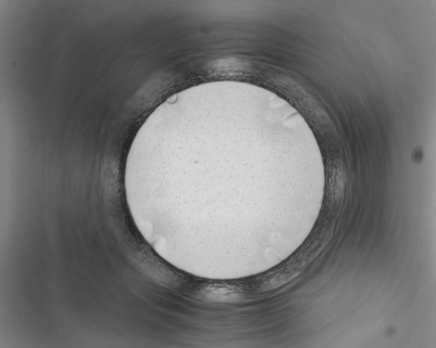 X0000116420557201001191452