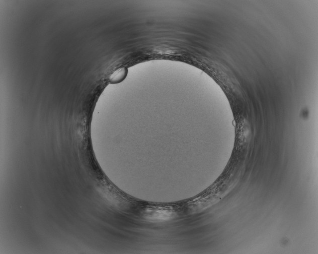 X0000116420559201001191452