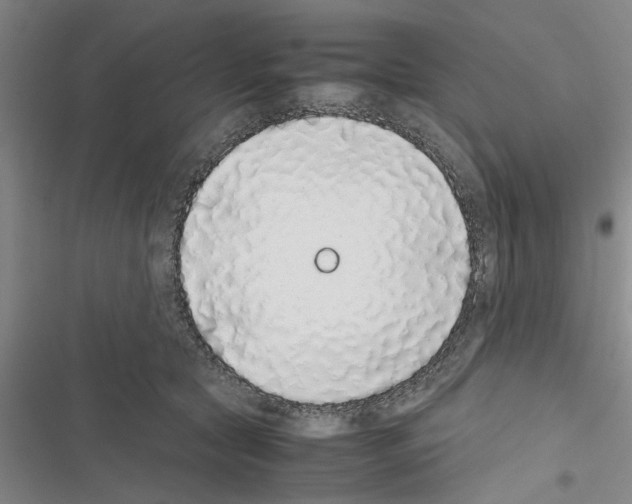 X0000116420561201001191452