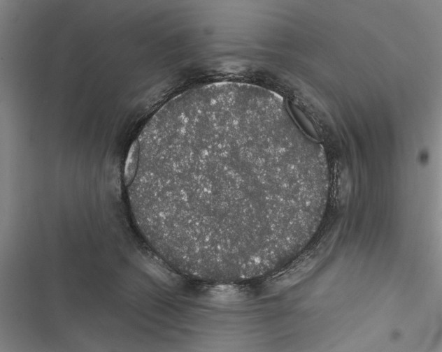 X0000116420562201001191452