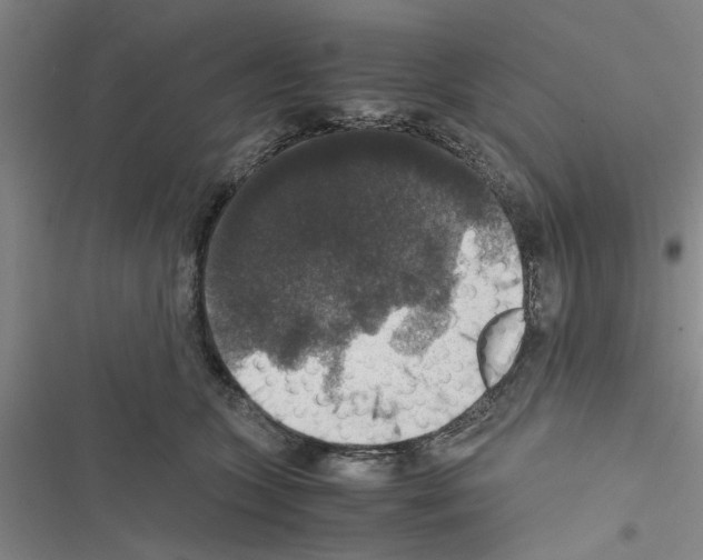X0000116420563201001191452