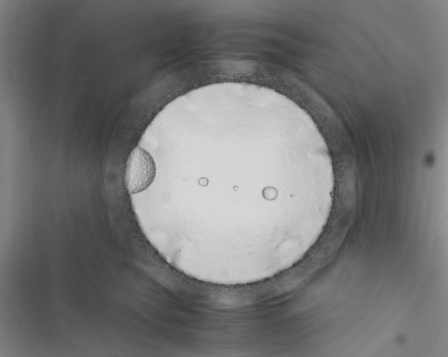 X0000116420565201001191452
