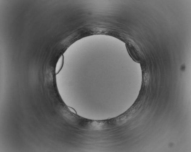 X0000116420570201001191452