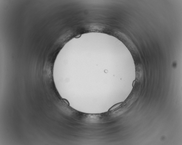 X0000116420573201001191452