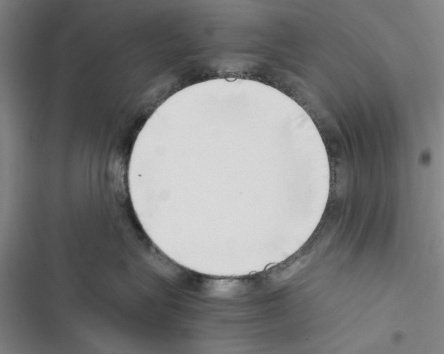 X0000116420575201001191452